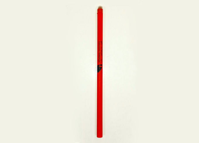 Plantable Pencil (1)